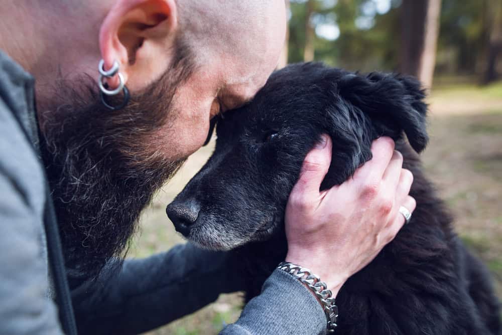 A man with a bald head and beard, wearing a silver chain bracelet and earrings, gently holds and touches foreheads with a black dog outdoors. The background is blurred, showing trees and greenery, evoking a feeling of emotional connection and affection. This tender moment reflects the compassion of a dedicated veterinarian.