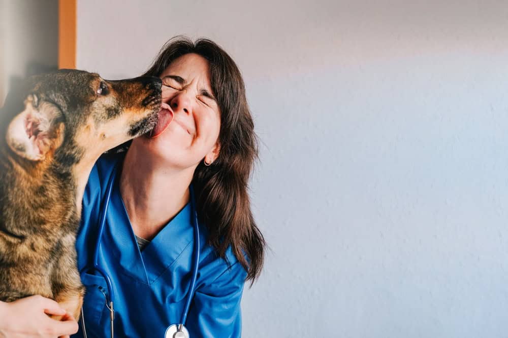 A veterinarian in blue scrubs and a stethoscope smiles with eyes closed as a dog affectionately licks their face. The background is softly lit with a neutral tone wall.