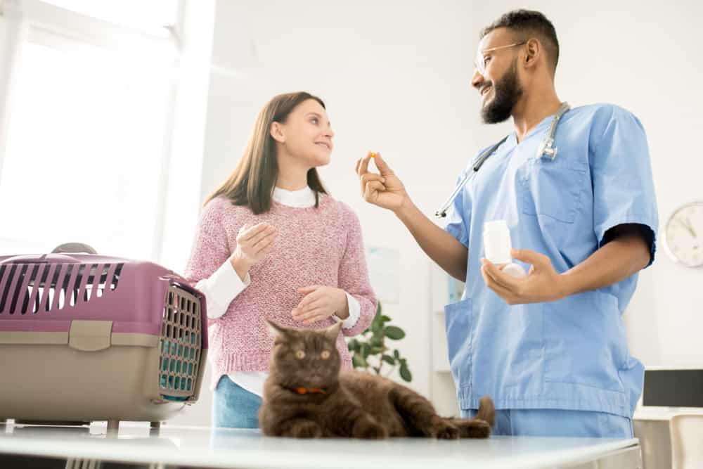 A woman and a veterinarian are chatting in an examination room. The veterinarian, dressed in blue scrubs and holding a bottle of medication, is smiling and offering a treat. A cat sits on the table next to a pet carrier, observing the interaction.